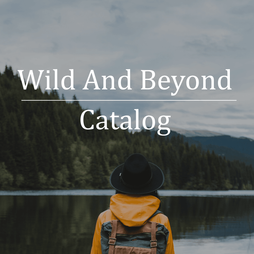 Wild & Beyond — project cover